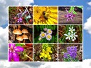 photo thumbnail #13