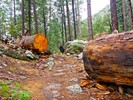 photo thumbnail #5