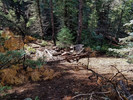 photo thumbnail #3