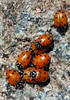 photo thumbnail #10