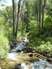 photo thumbnail #3