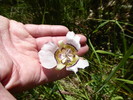 photo thumbnail #12
