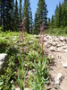 photo thumbnail #15