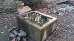 photo thumbnail #1