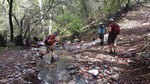 photo thumbnail #15