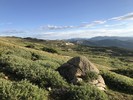 photo thumbnail #4