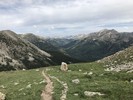 photo thumbnail #11