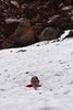 photo thumbnail #7