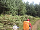 photo thumbnail #4