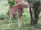 photo thumbnail #14