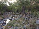 photo thumbnail #1