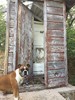 photo thumbnail #3