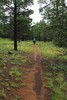 photo thumbnail #15
