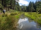 photo thumbnail #4