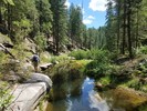photo thumbnail #7