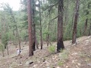 photo thumbnail #14
