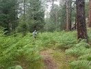 photo thumbnail #15