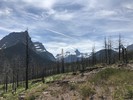 photo thumbnail #7