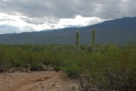 photo thumbnail #1