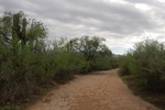 photo thumbnail #2