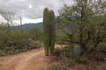 photo thumbnail #3