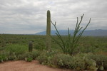 photo thumbnail #5