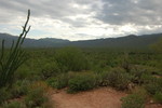 photo thumbnail #6