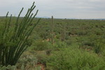 photo thumbnail #7