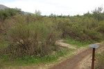 photo thumbnail #9