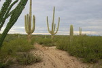 photo thumbnail #2