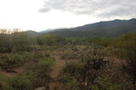 photo thumbnail #3
