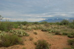 photo thumbnail #5