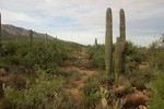 photo thumbnail #6