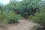 photo thumbnail #7