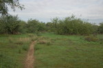 photo thumbnail #8