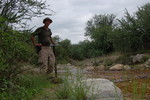 photo thumbnail #11