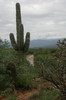 photo thumbnail #12