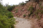 photo thumbnail #14
