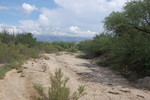 photo thumbnail #15