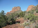 recent photo