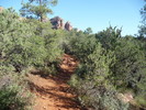 photo thumbnail #7