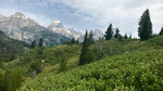 photo thumbnail #1