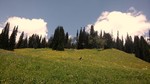 photo thumbnail #5
