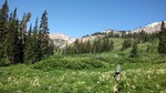 photo thumbnail #8