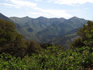 photo thumbnail #11