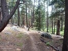 photo thumbnail #6