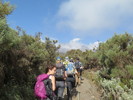 photo thumbnail #12