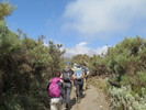 photo thumbnail #13