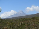 photo thumbnail #14