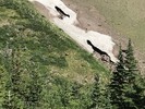 2017-07-09 :2: Cracker Lake :: FOTG